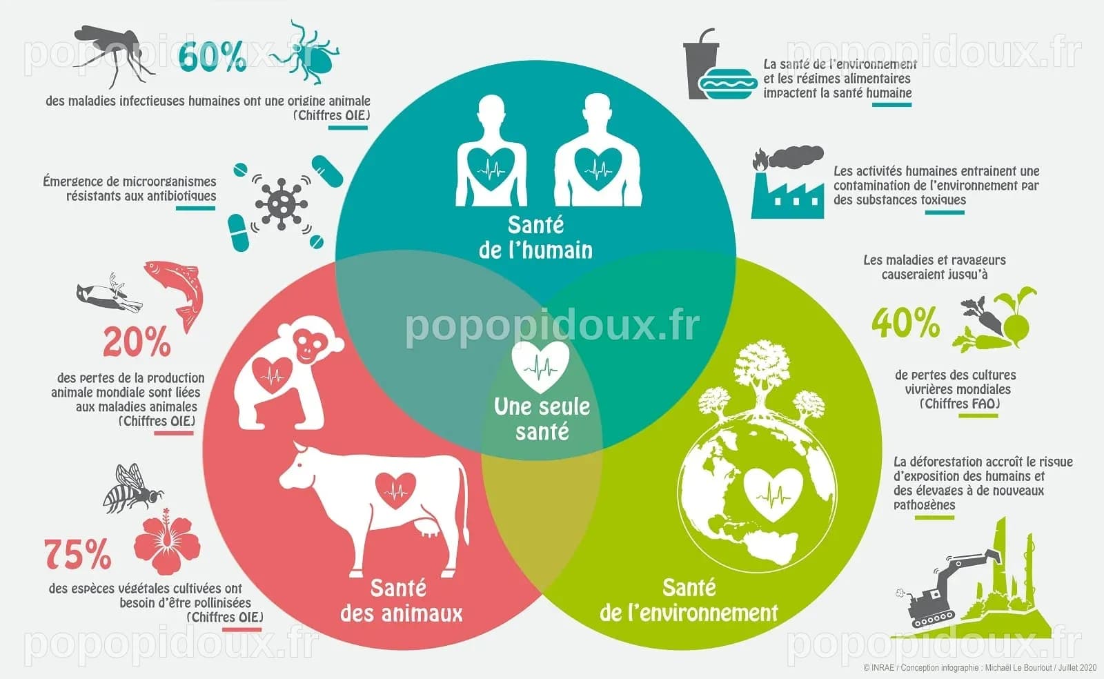Santé mondiale : L'interdépendance entre l'homme, les animaux et la planète au cœur du One Health Summit de Lyon