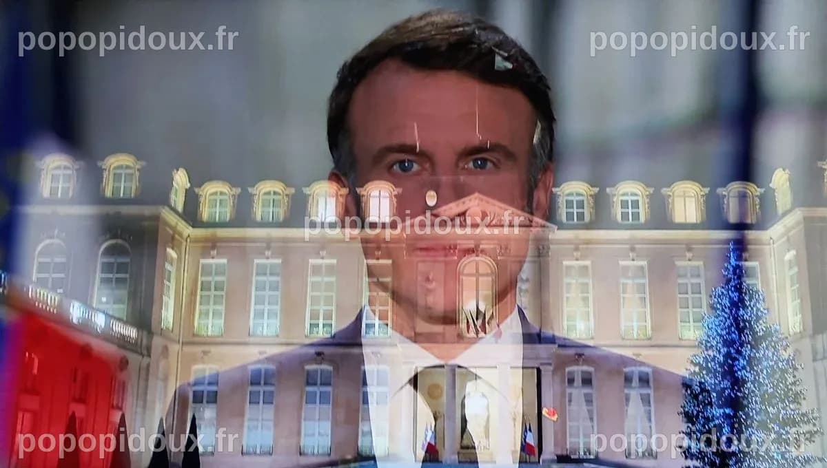 Emmanuel Macron est-il condamné à l'immobilisme ? | France Culture