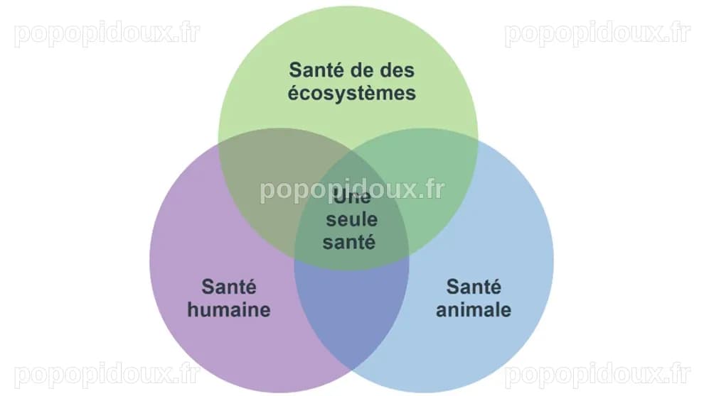 Qu'est-ce que la santé (environnementale), pour vous