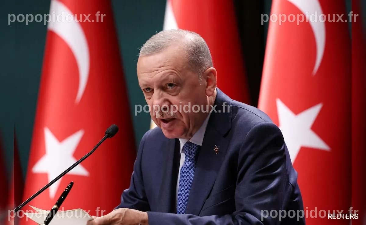 Recep Tayyip Erdogan, Russia-Ukraine Talks: Protests In Turkey, 'Global ...