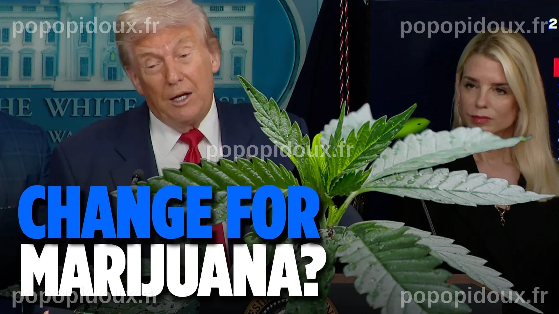 L'administration Trump reclassifie la marijuana médicale en catégorie III