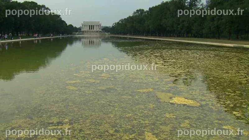 Le Miroir du Lincoln Memorial se pare d'une nouvelle teinte bleue alors que Trump lance son projet de rénovation