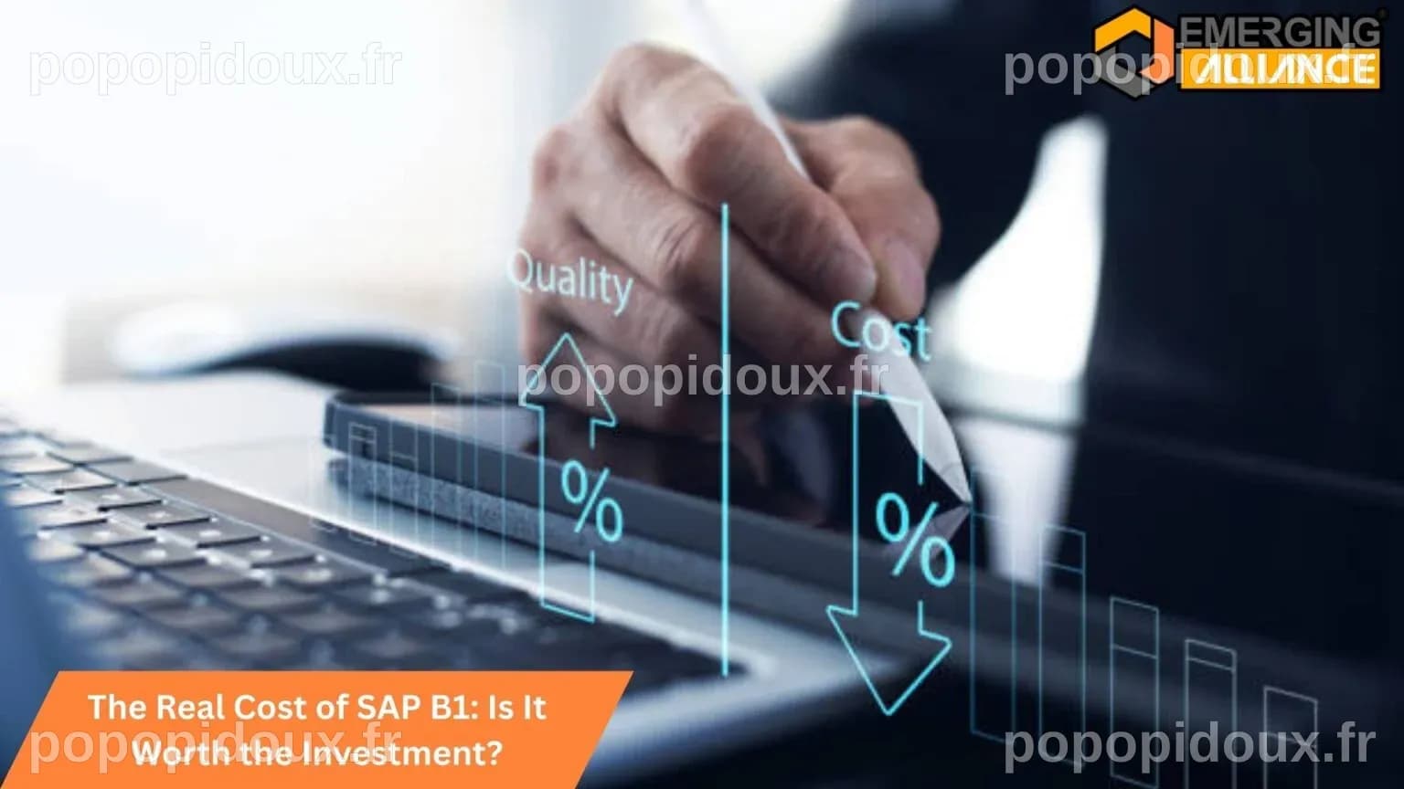 The Real Cost of SAP B1: Is It Worth the Investment? - SAP B1