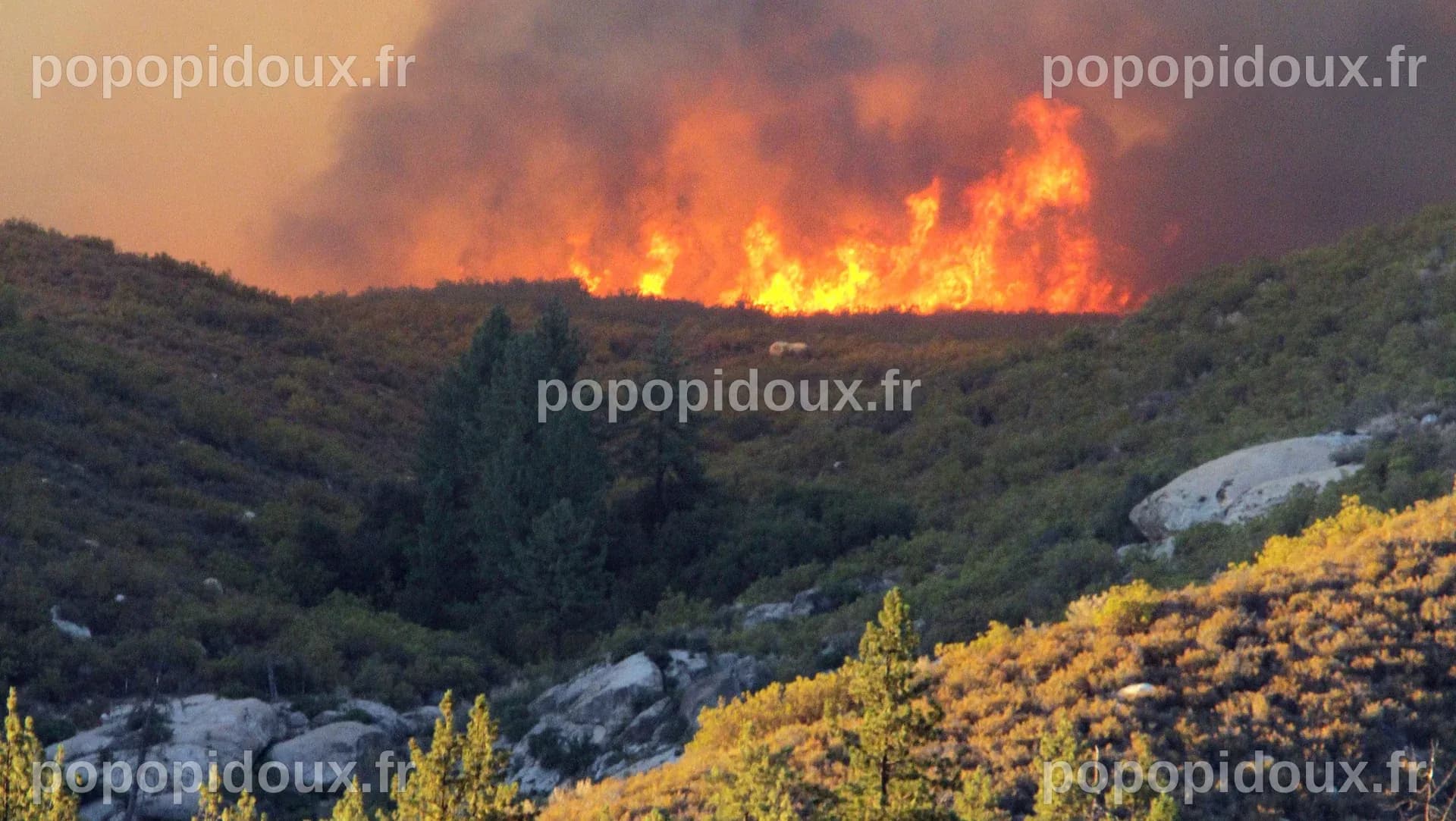 Les incendies en Géorgie illustrent l'impact du changement climatique sur les feux de forêt à l'Est des États-Unis