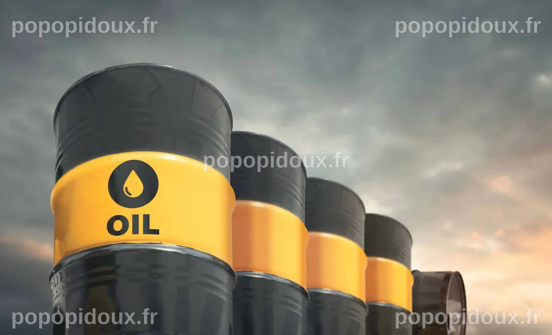 Le pétrole enregistre sa plus forte baisse depuis 2023