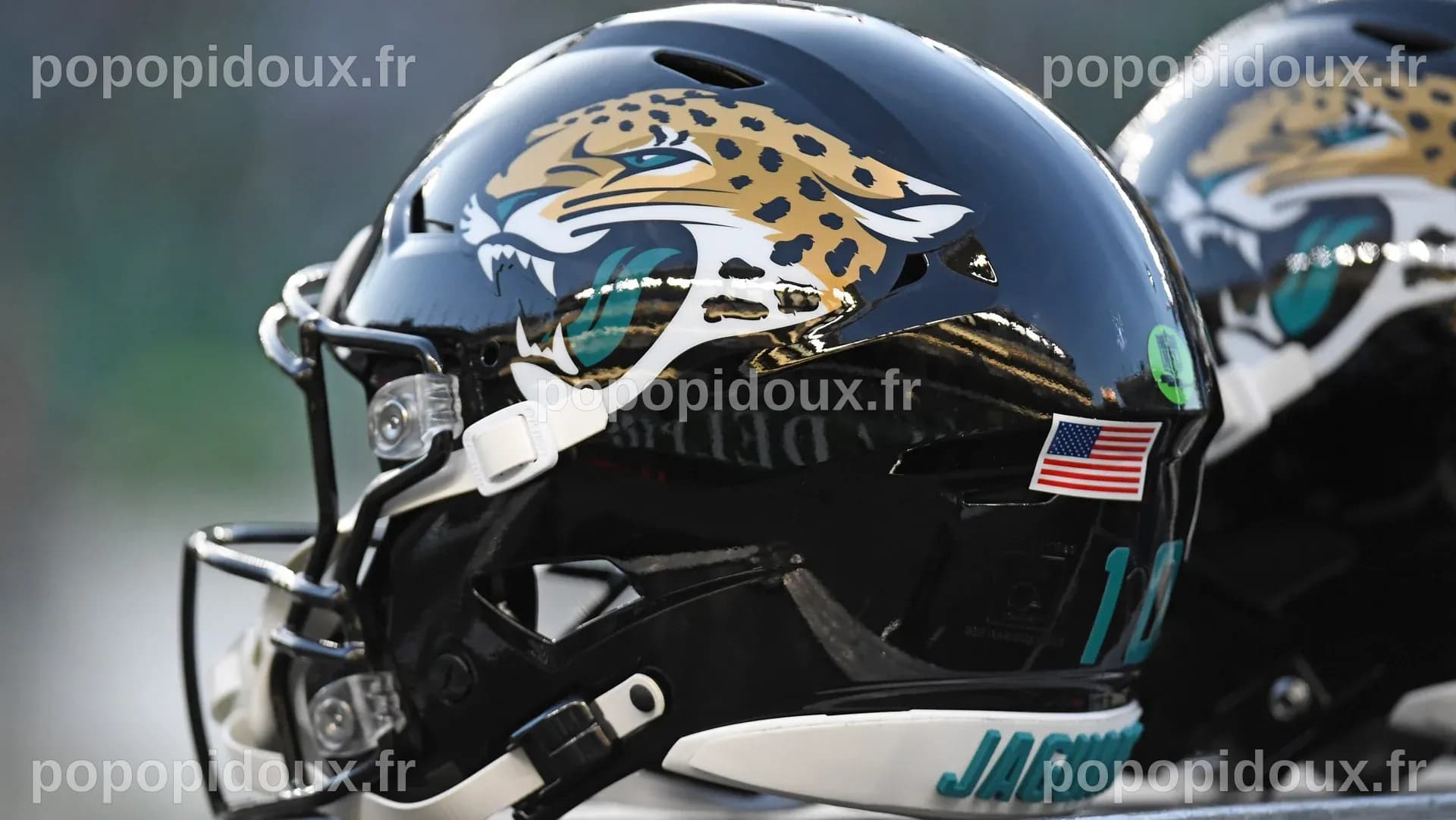 Tout savoir sur Albert Regis, le nouveau DT des Jaguars