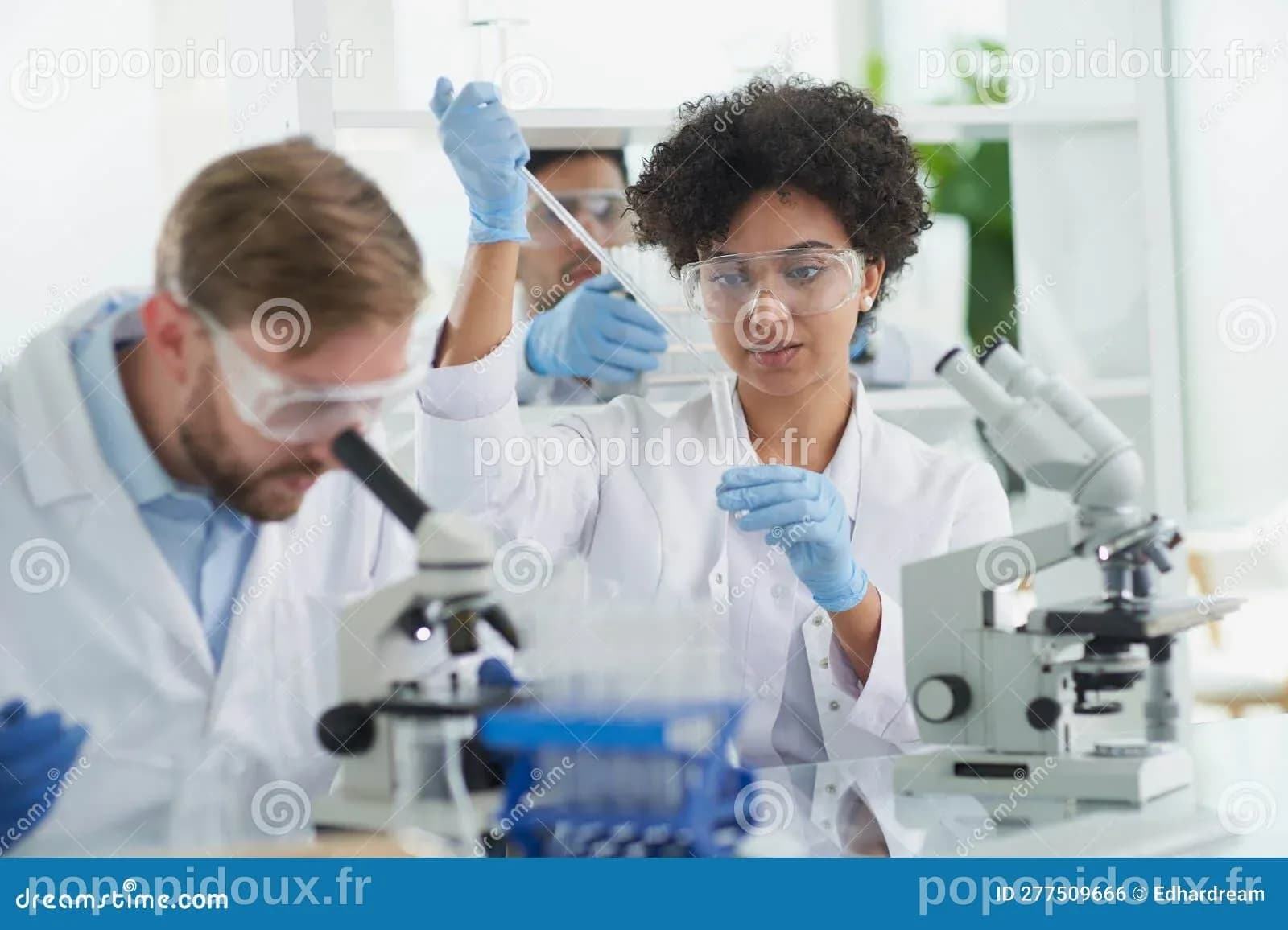équipe De Chercheurs Médicaux Travaillant Sur La Production De ...