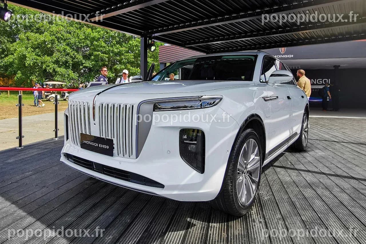 Hongqi. La luxueuse marque chinoise débarque en France avec ses modèles ...