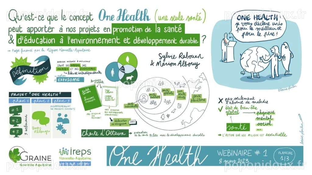 "One health, qu'est-ce que c'est ?" - Pertinence du concept pour les ...