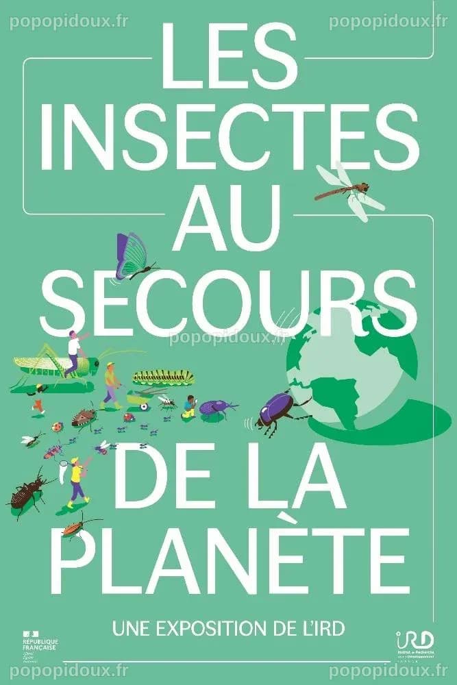 Mobilisation des automobilistes pour le recensement des insectes : un soutien précieux à la science