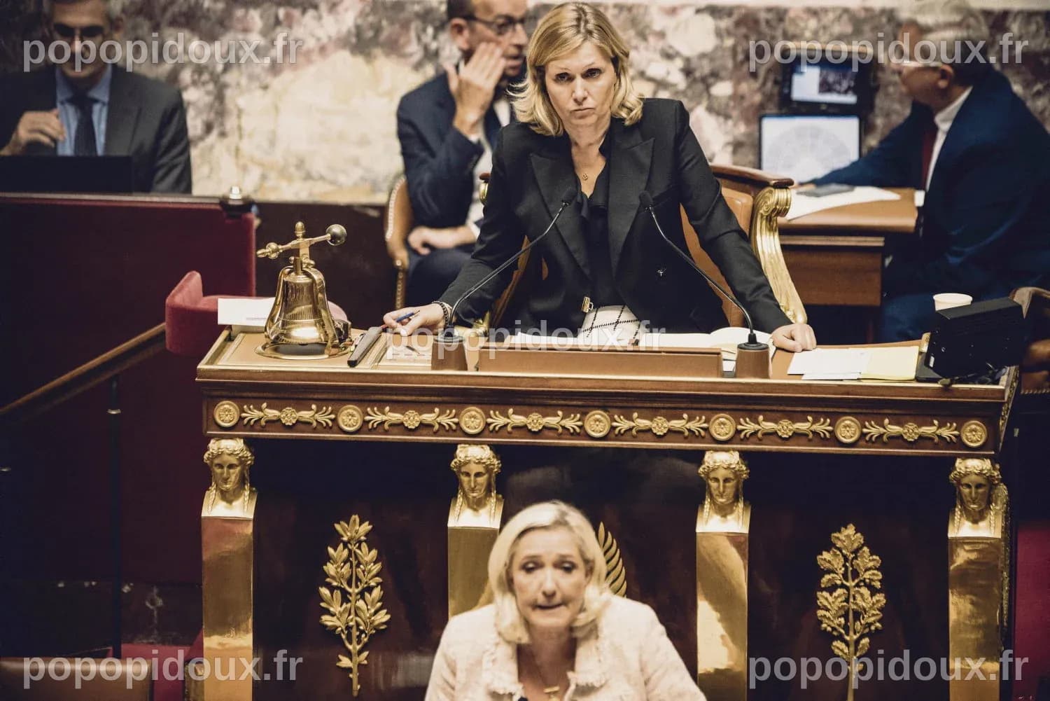 Élection des vice-présidents de l’Assemblée : la Macronie préfère le RN ...