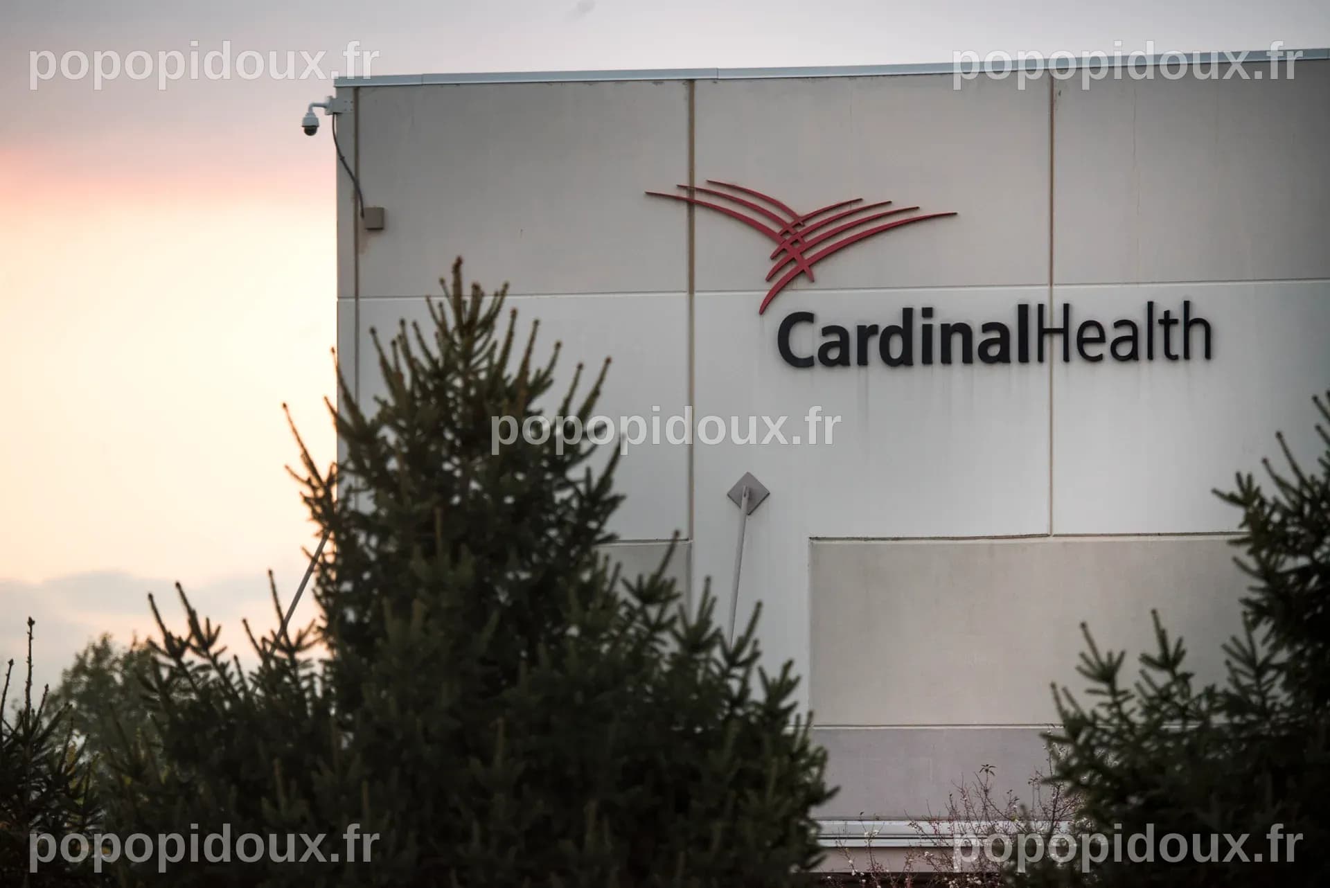 Cardinal Health Logo