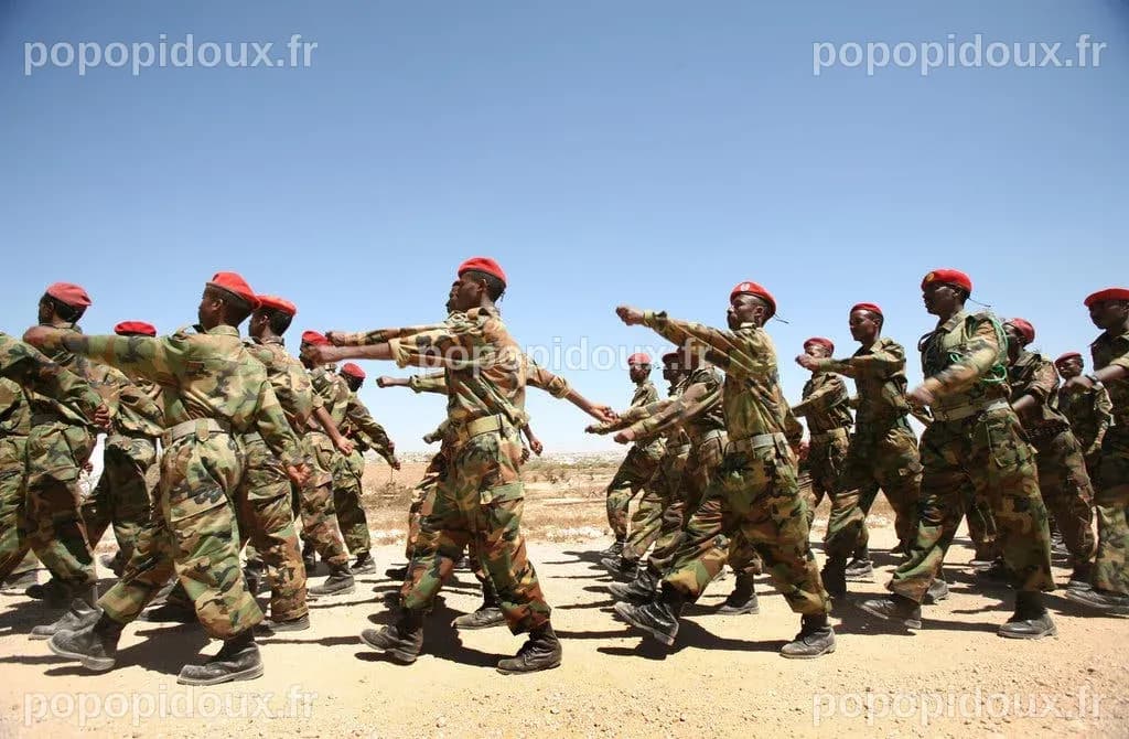 Mali Rebels Declare Independence, but Face an Uphill Task - The New ...