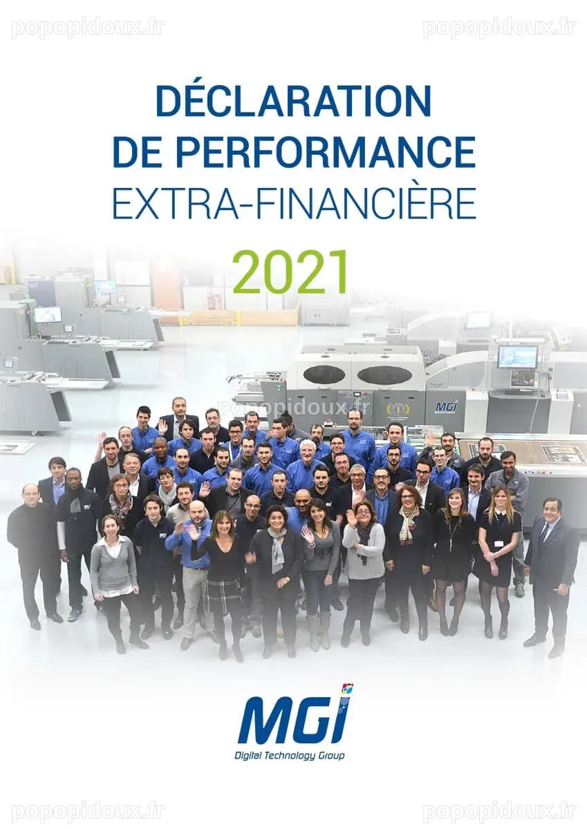 Déclaration de performance extra-financière - MGI Digital Technology