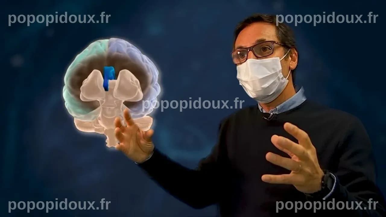Pourquoi les gauchers persistent-ils dans un monde de droitiers ? Une découverte scientifique sur leur cerveau