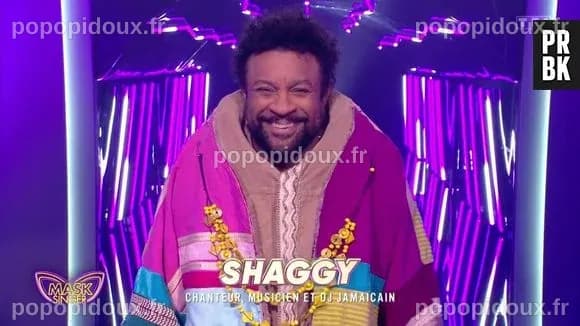 Mask Singer 2025 : la première star internationale de la saison ...