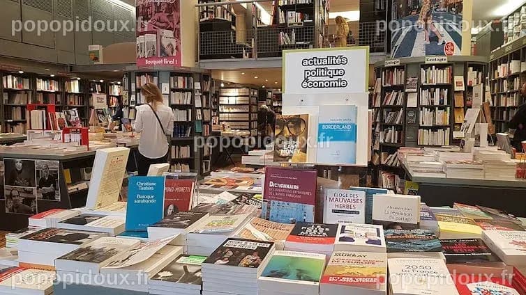 Pourquoi les livres papier n’ont-ils pas disparu