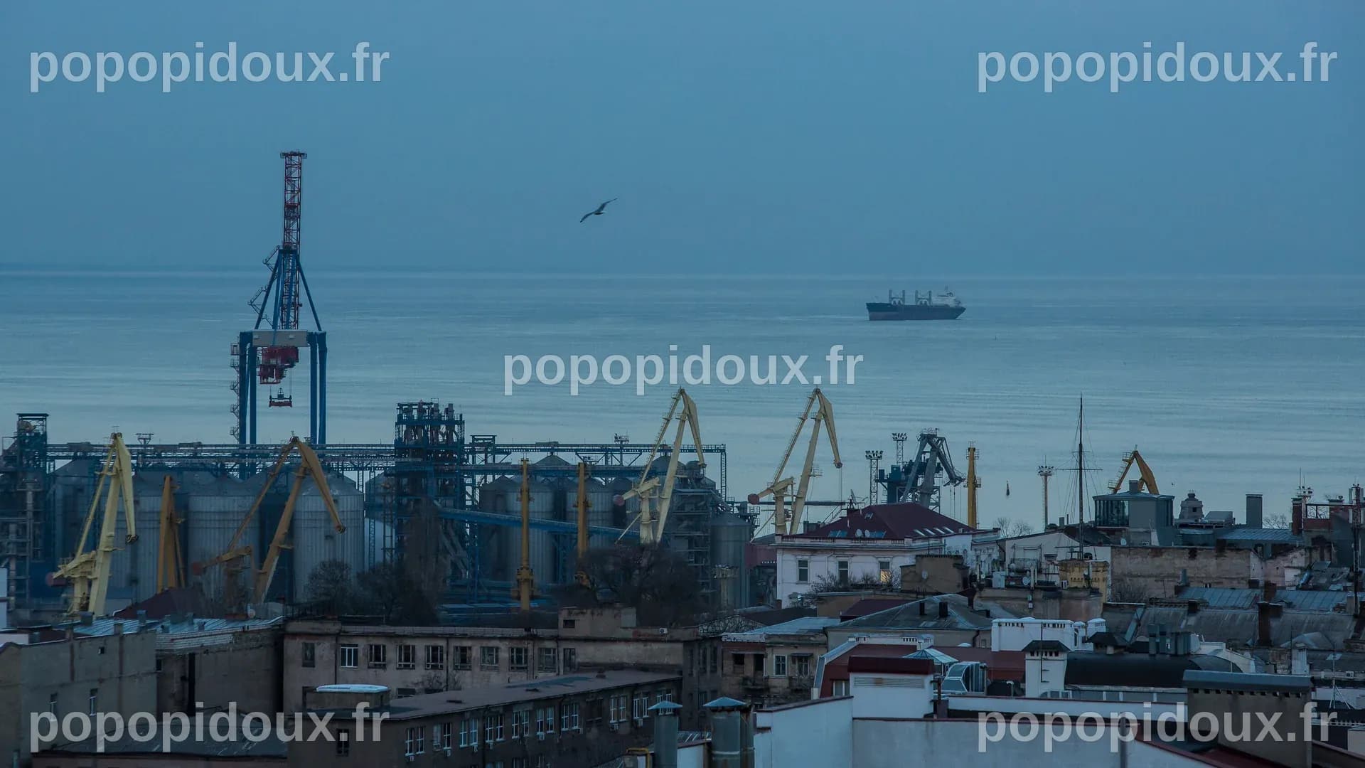 Russian Strikes on Ukrainian Ports Target Civilian Shipping - The New ...