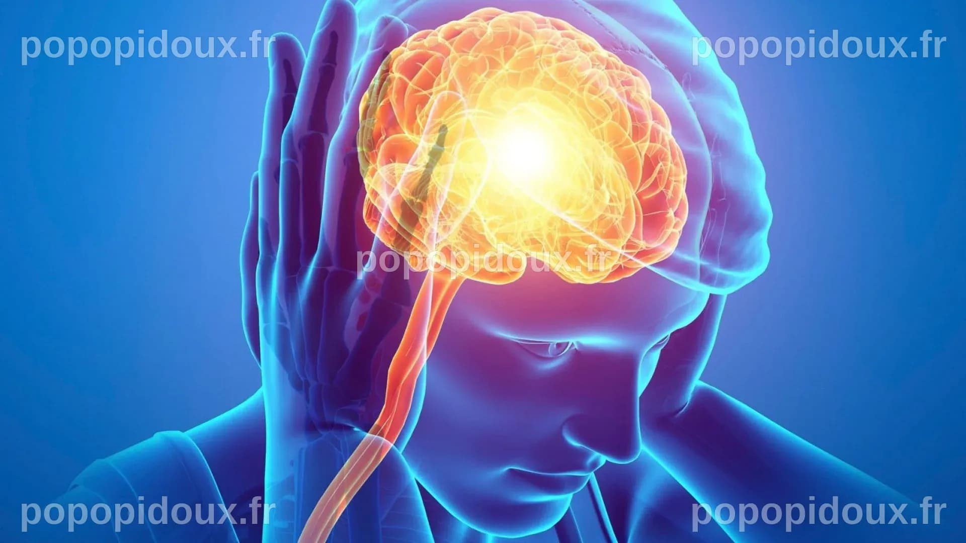 Pourquoi les gauchers continuent-ils d'exister ? Une révélation scientifique sur un trait caché dans leur cerveau