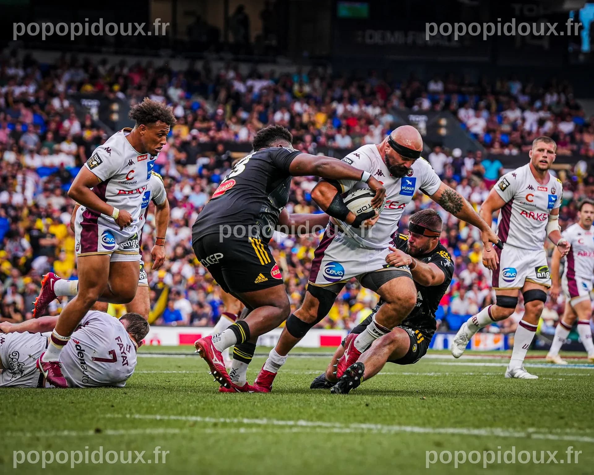 Une Affiche Épique : UBB Affronte Bath en Demi-Finale de la Champions Cup