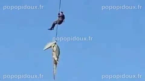 South African police officer lowered into crocodile-infested river to ...