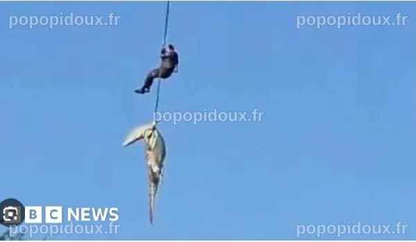 Un policier plongé dans une rivière infestée de crocodiles pour récupérer des restes humains