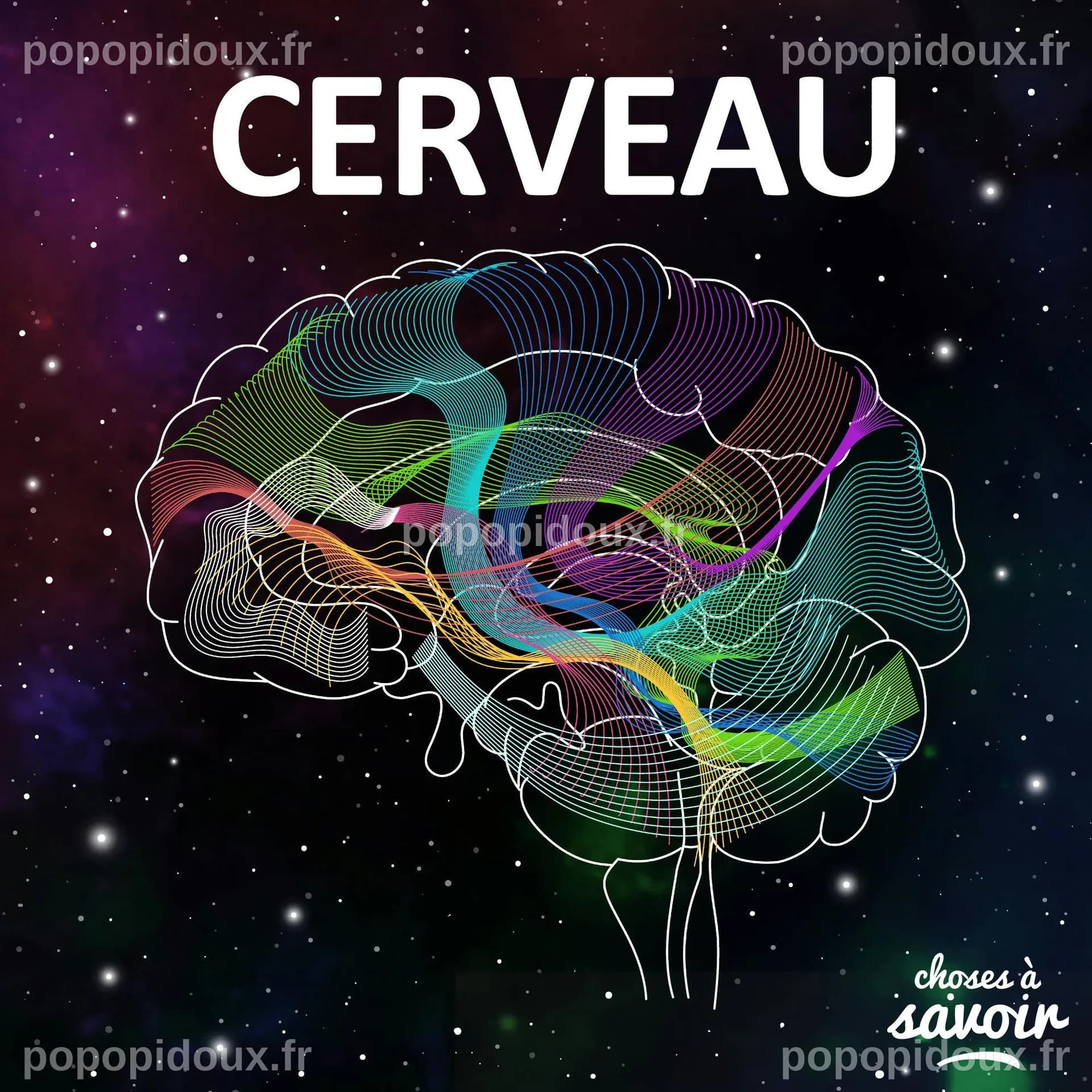 Procrastinons-nous vraiment par paresse ? - Choses à Savoir CERVEAU ...