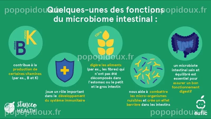 Façonner le microbiome intestinal grâce à une nutrition personnalisée ...