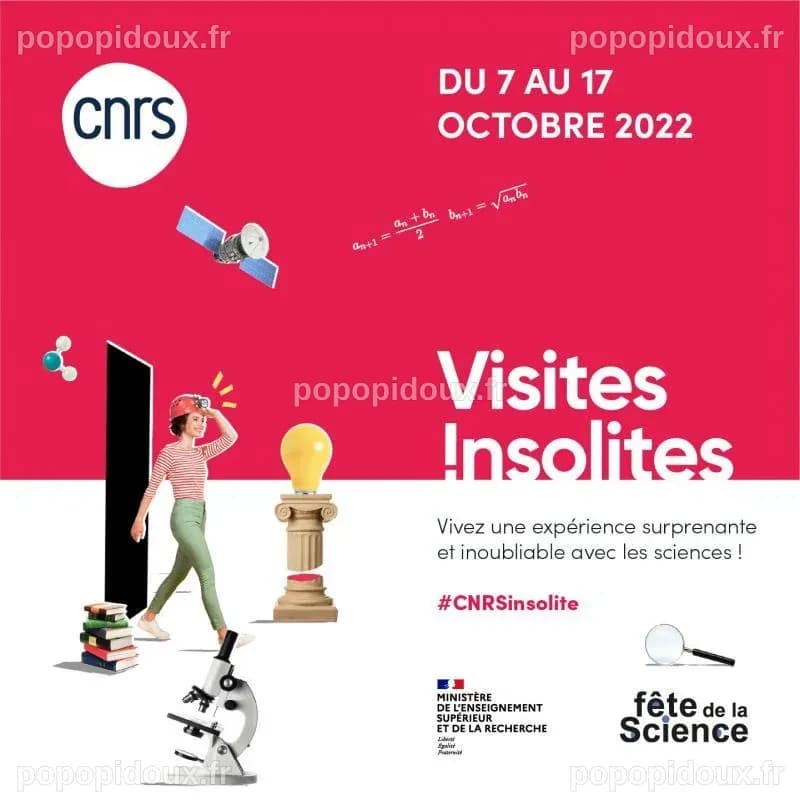 Vivre à l'étranger pour continuer la recherche : un Russe et un Américain soutenus par le CNRS