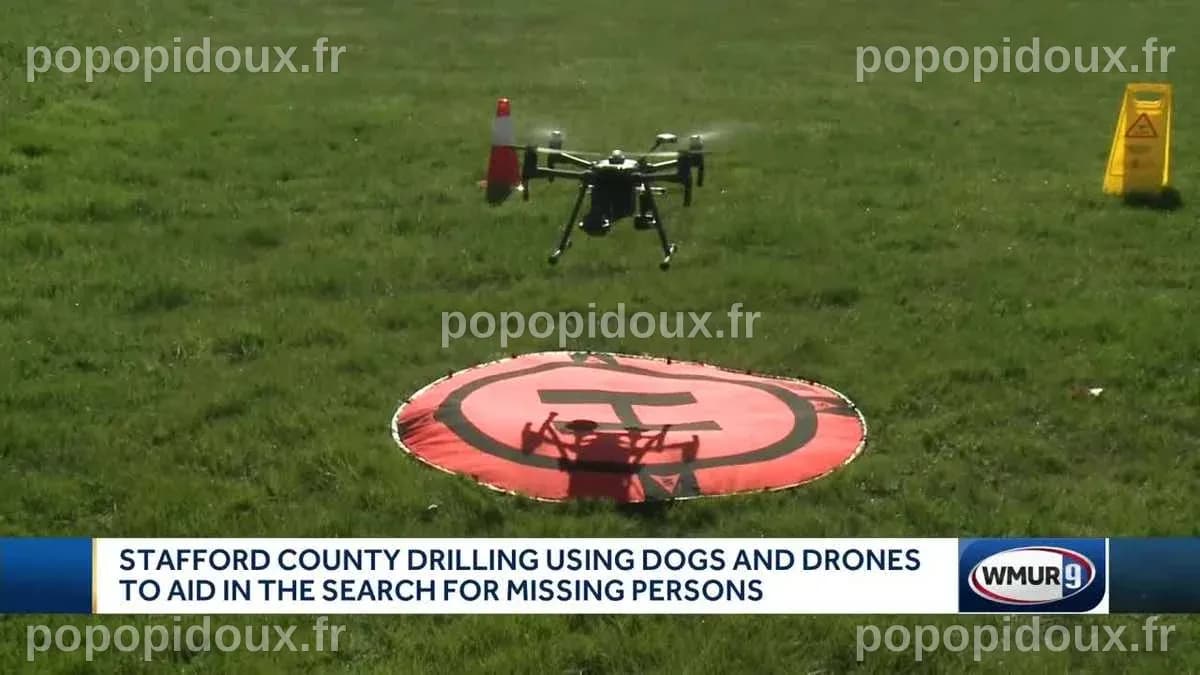Dogs, drones join forces in search efforts
