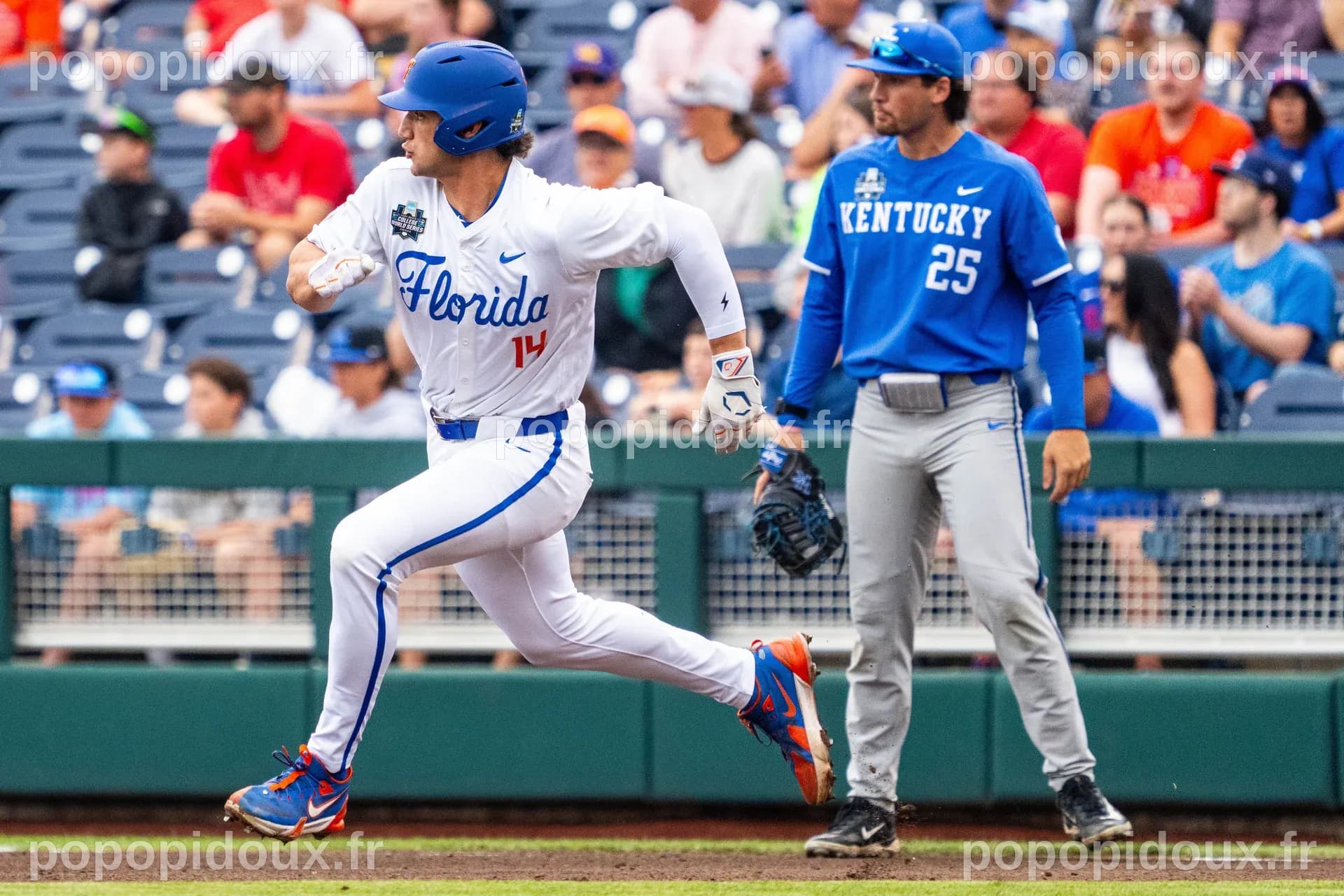 Highlights from Florida's College World Series win over Kentucky