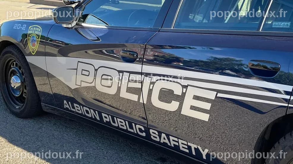 Driver, passenger die in Albion after high speed crash into tree