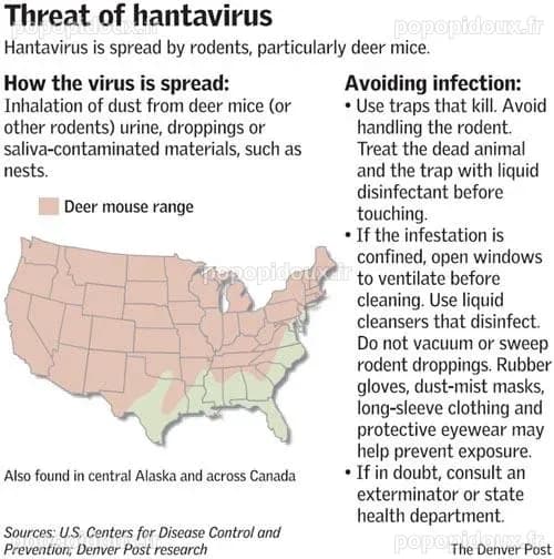 L'augmentation des cas de hantavirus mortels en Argentine : le changement climatique pointé du doigt