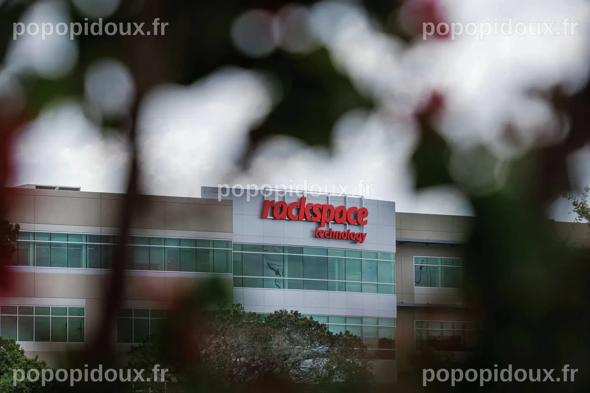 Rackspace back in the red despite new strategy, AI investments