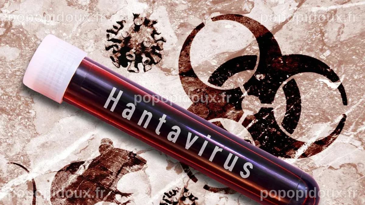 Hantavirus : Evacuation réussie des passagers du « Hondius » à Tenerife, un coup de maître pour le gouvernement espagnol