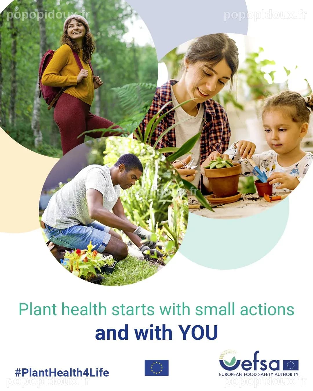 Plant Health 4 Life : Adoptez des gestes simples pour préserver la santé des plantes