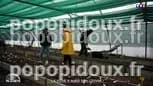 Paris absurdes : un business qui va trop loin ? | TF1 Info