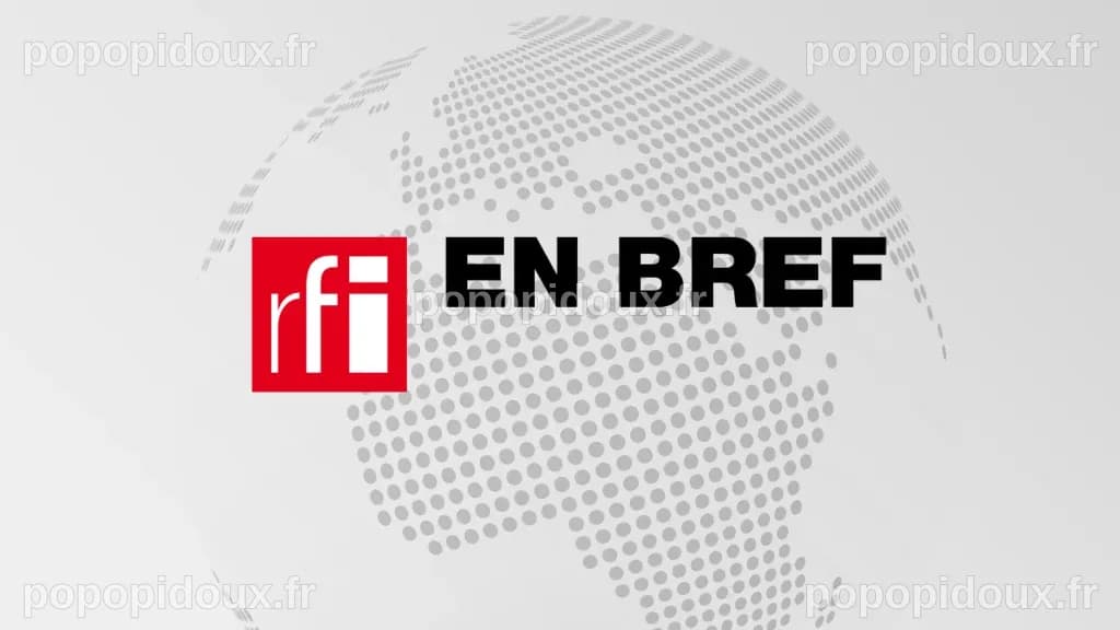 Une femme abattue par la police de l'immigration américaine lors d'une ...