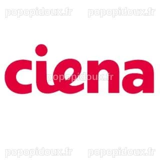 Ciena Corp (CIEN) Q4 2024 Earnings Call Highlights: Strong Revenue ...