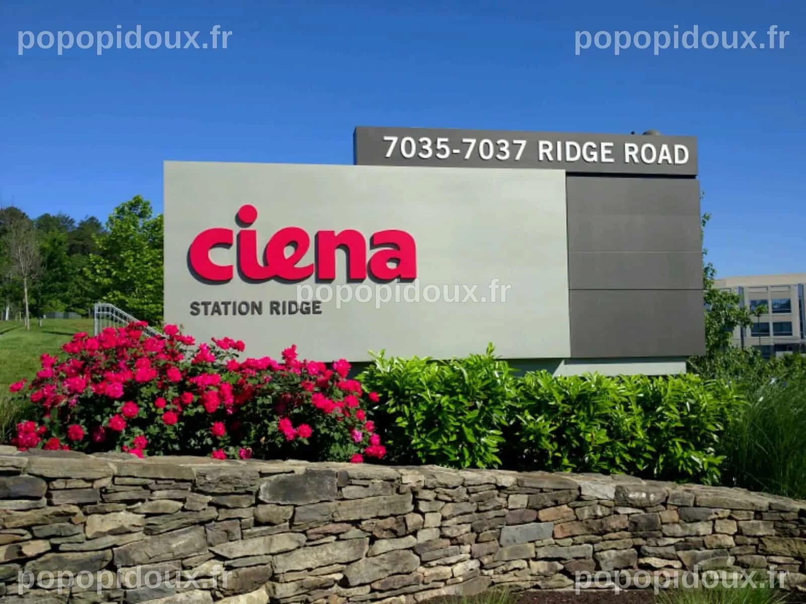 Ciena Corporation (CIEN) and Endeavour Silver Corp. - Equity Insider