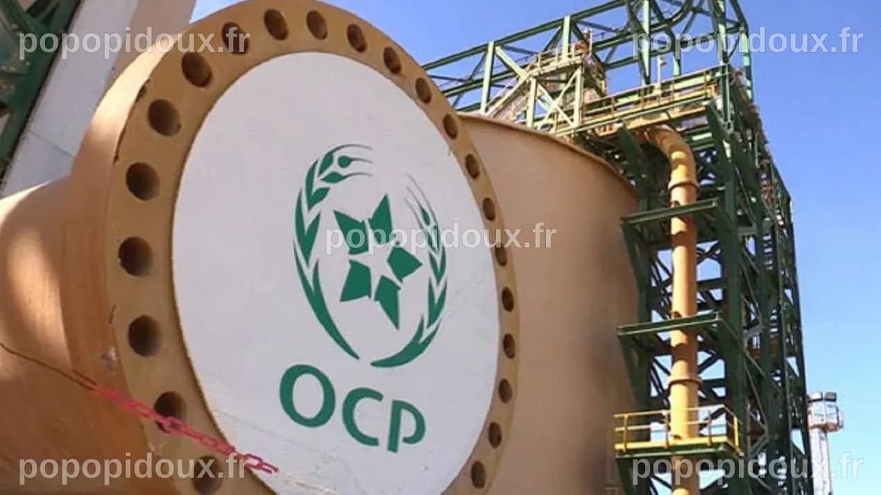Engrais phosphatés : le Groupe OCP et l’Inde engagent un partenariat ...