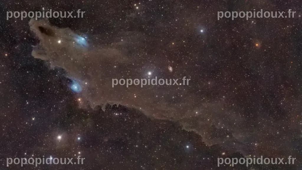 Un « requin spatial » photographié à 650 années-lumière de la Terre, un ...